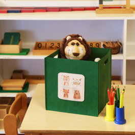 Aberto Design HMY - 6254 Organizador de Escritorio Verde de Fieltro